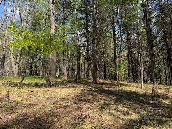 0.96 Acres of Land for Sale in Creston, North Carolina