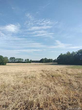 141 Acres of Land for Sale in Weldon, North Carolina