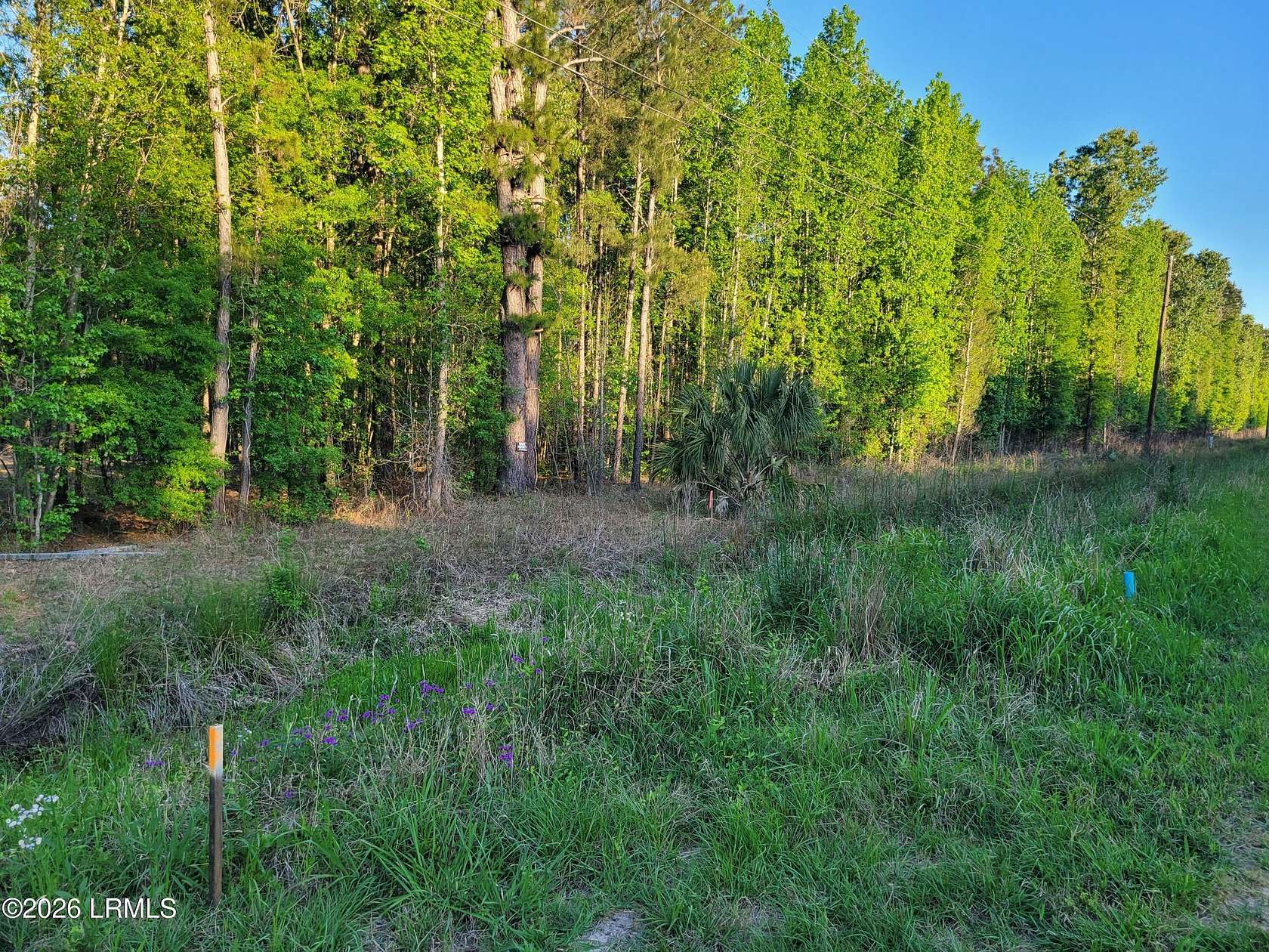 1.25 Acres of Land for Sale in Hardeeville, South Carolina