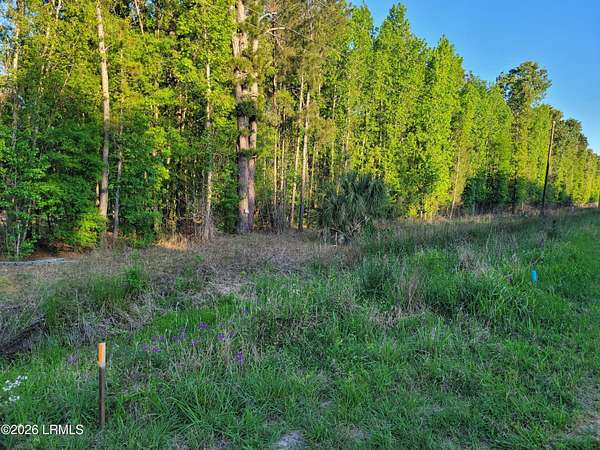 1.25 Acres of Land for Sale in Hardeeville, South Carolina