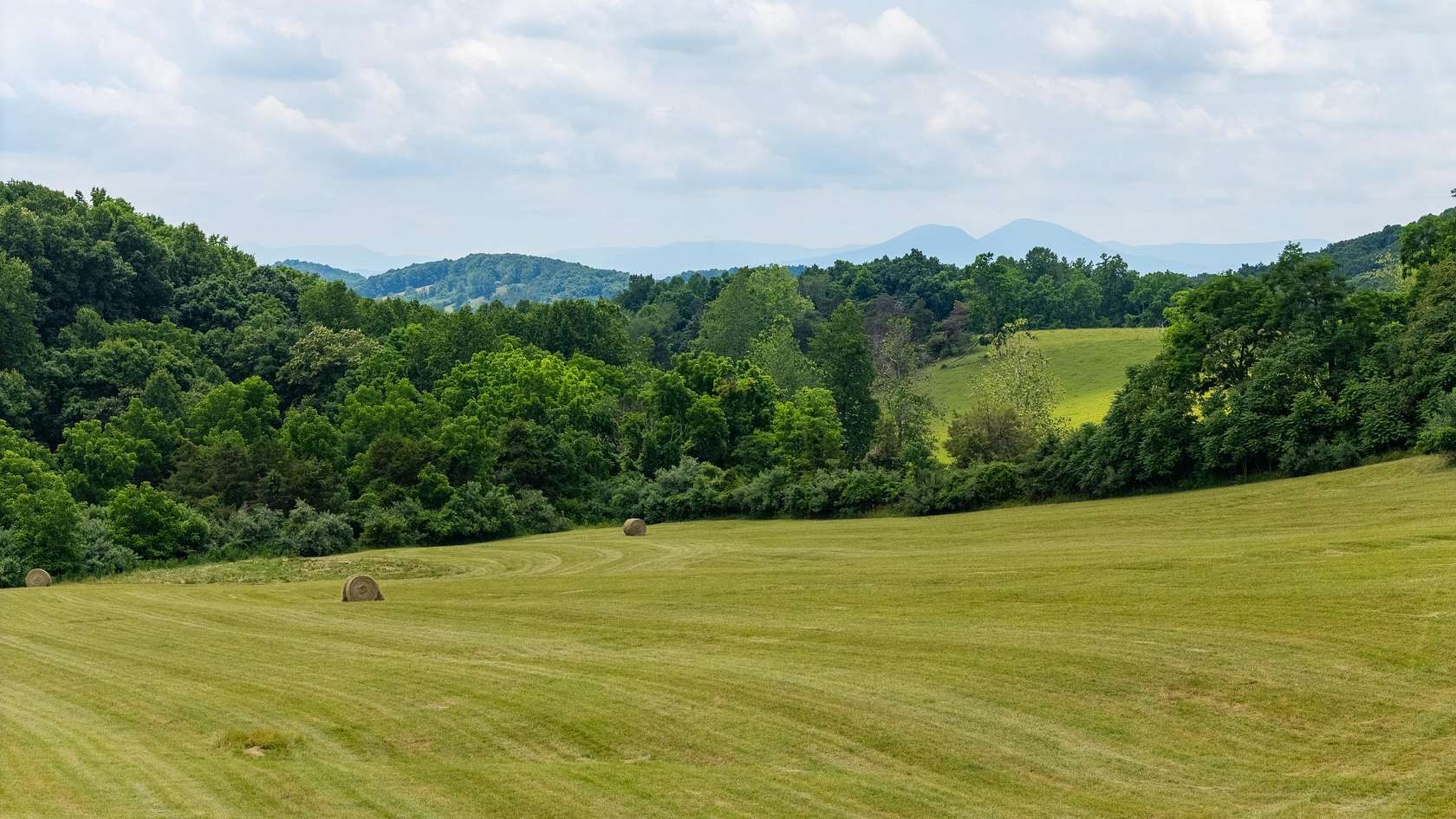 11.3 Acres of Land for Sale in Raphine, Virginia