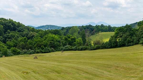 11.3 Acres of Land for Sale in Raphine, Virginia
