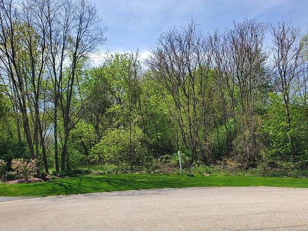 1 Acre of Residential Land for Sale in Wadsworth, Illinois