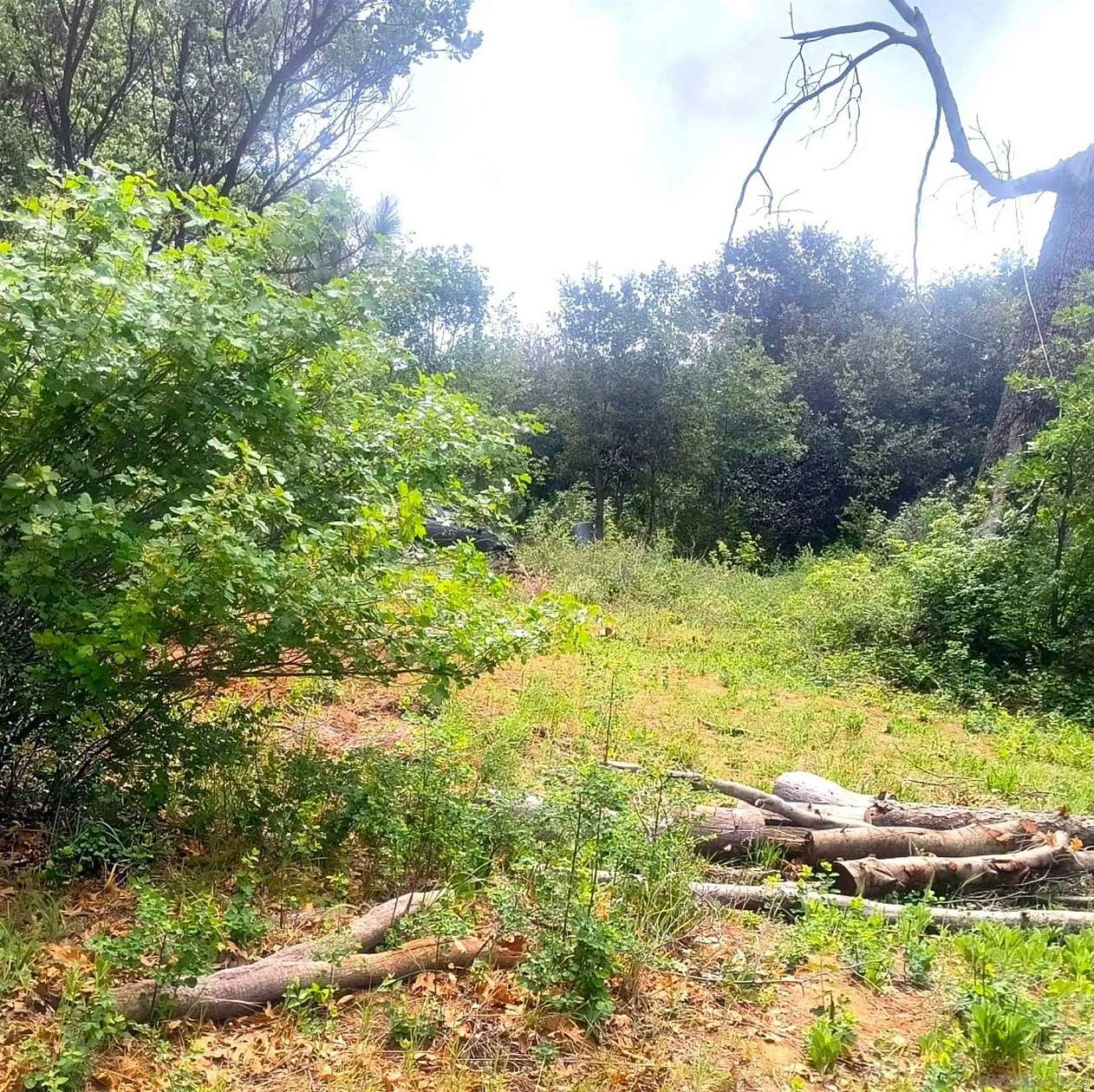 1 Acre of Residential Land for Sale in Julian, California