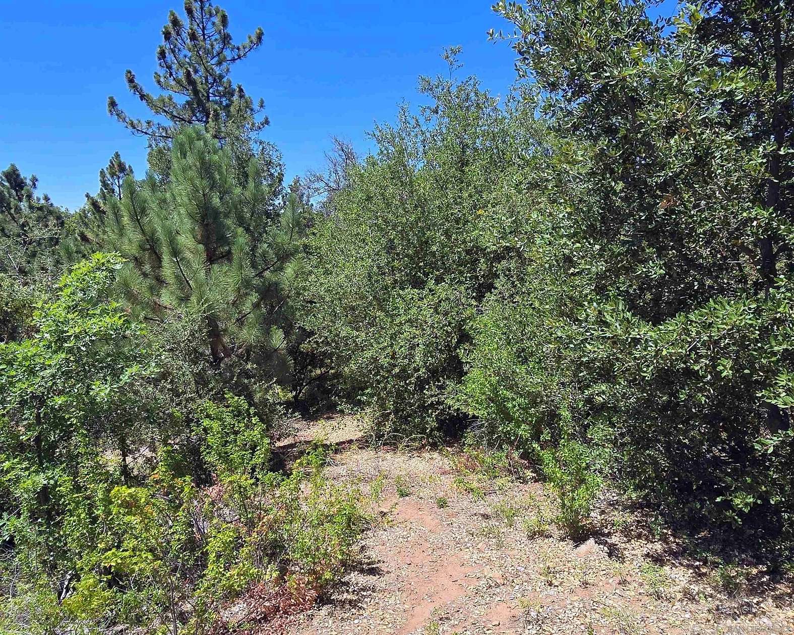 1 Acre of Residential Land for Sale in Julian, California
