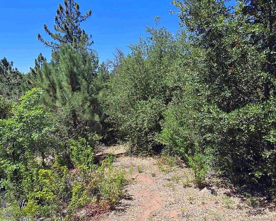 1 Acre of Residential Land for Sale in Julian, California