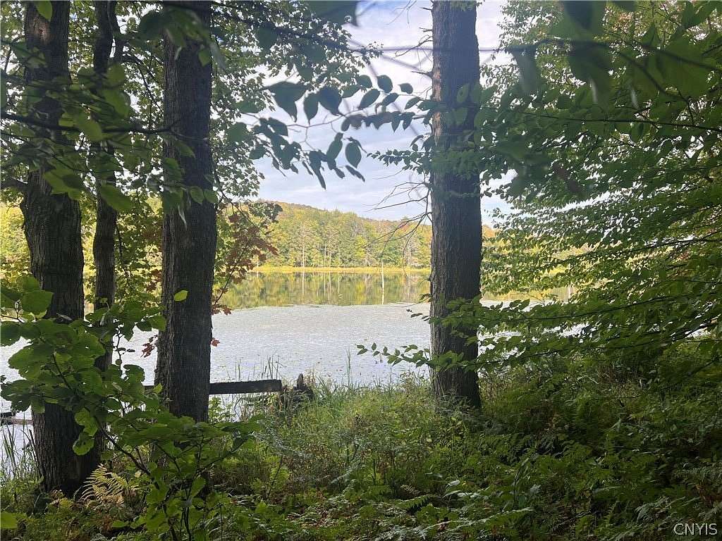 20 Acres of Recreational Land for Sale in Cincinnatus, New York