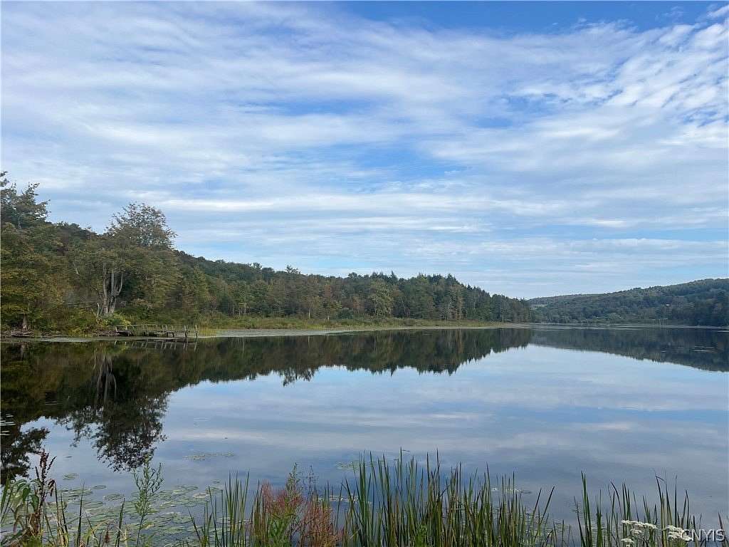 20 Acres of Recreational Land for Sale in Cincinnatus, New York