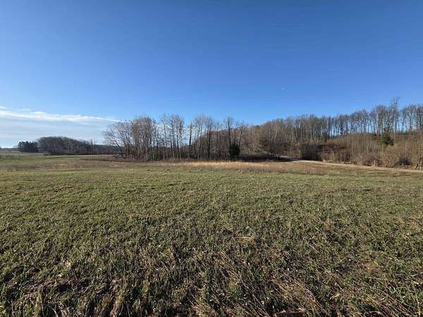 10.2 Acres of Land for Sale in Rothbury, Michigan