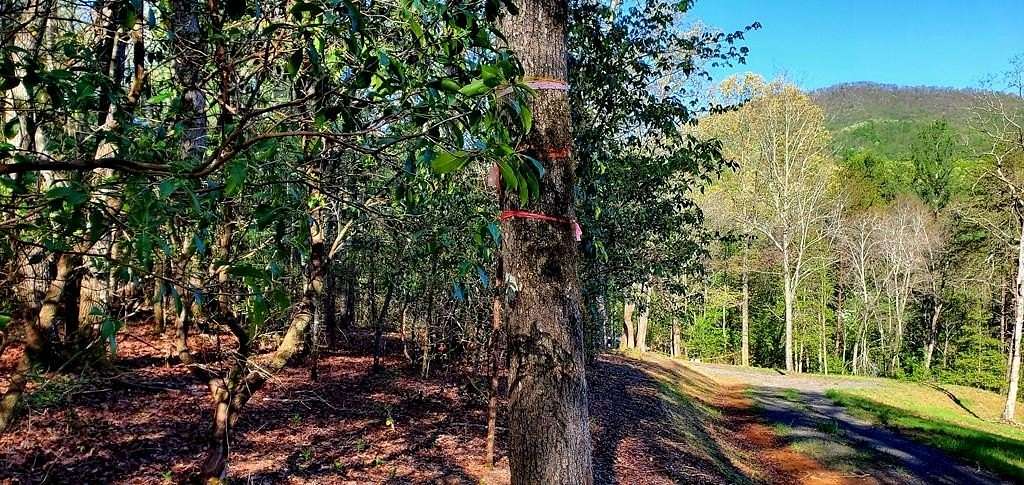 1.6 Acres of Land for Sale in Hayesville, North Carolina