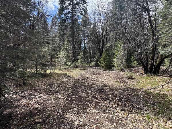 2.5 Acres of Residential Land for Sale in McCloud, California
