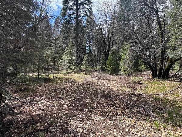 2.5 Acres of Residential Land for Sale in McCloud, California