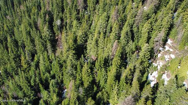 5.4 Acres of Land for Sale in Fernwood, Idaho