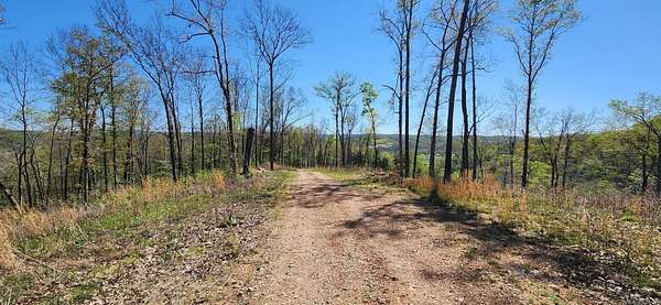 19.9 Acres of Recreational Land for Sale in Mountain View, Arkansas
