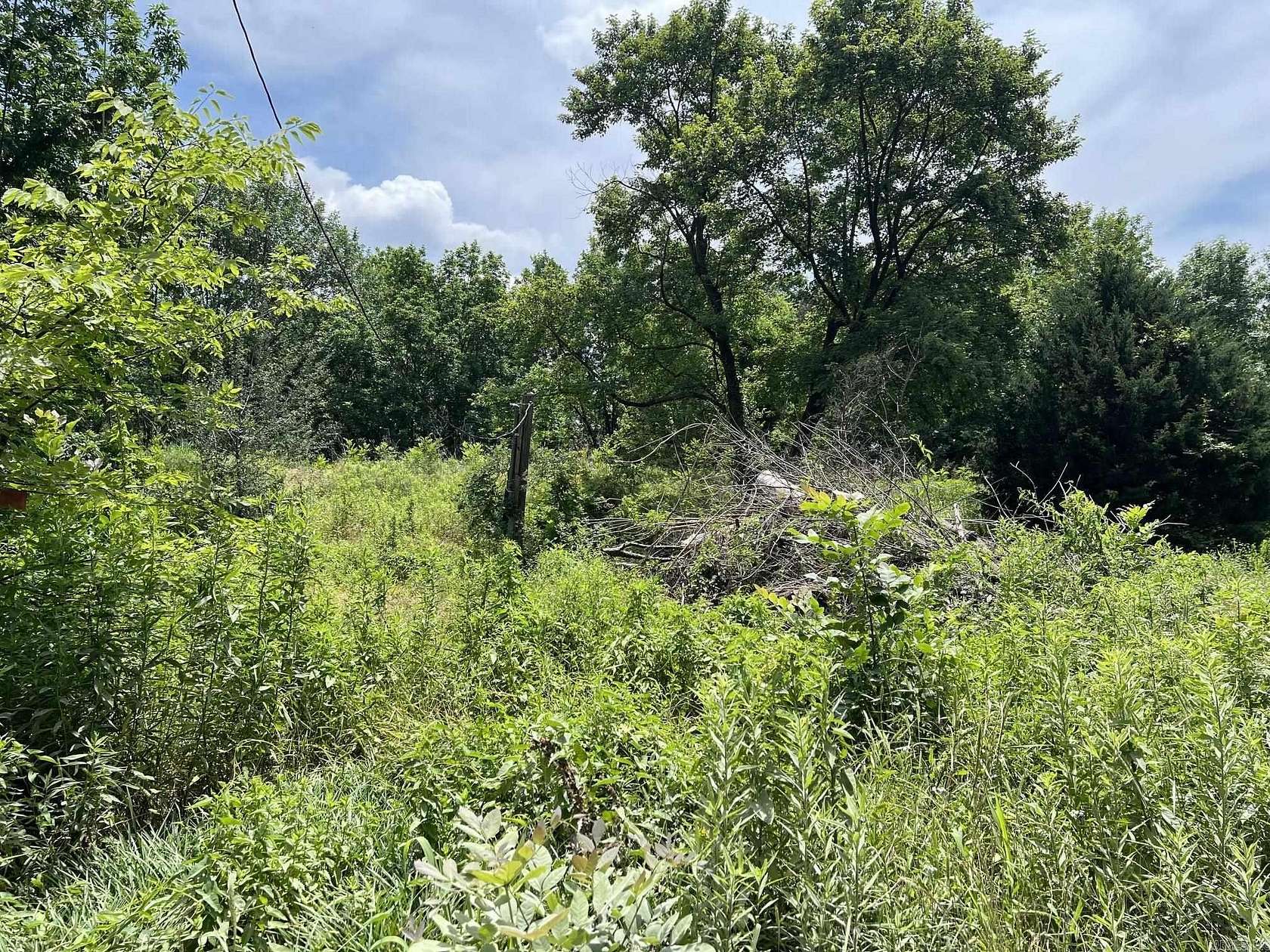 2 Acres of Residential Land for Sale in Manila, Arkansas