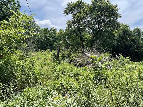 2 Acres of Residential Land for Sale in Manila, Arkansas