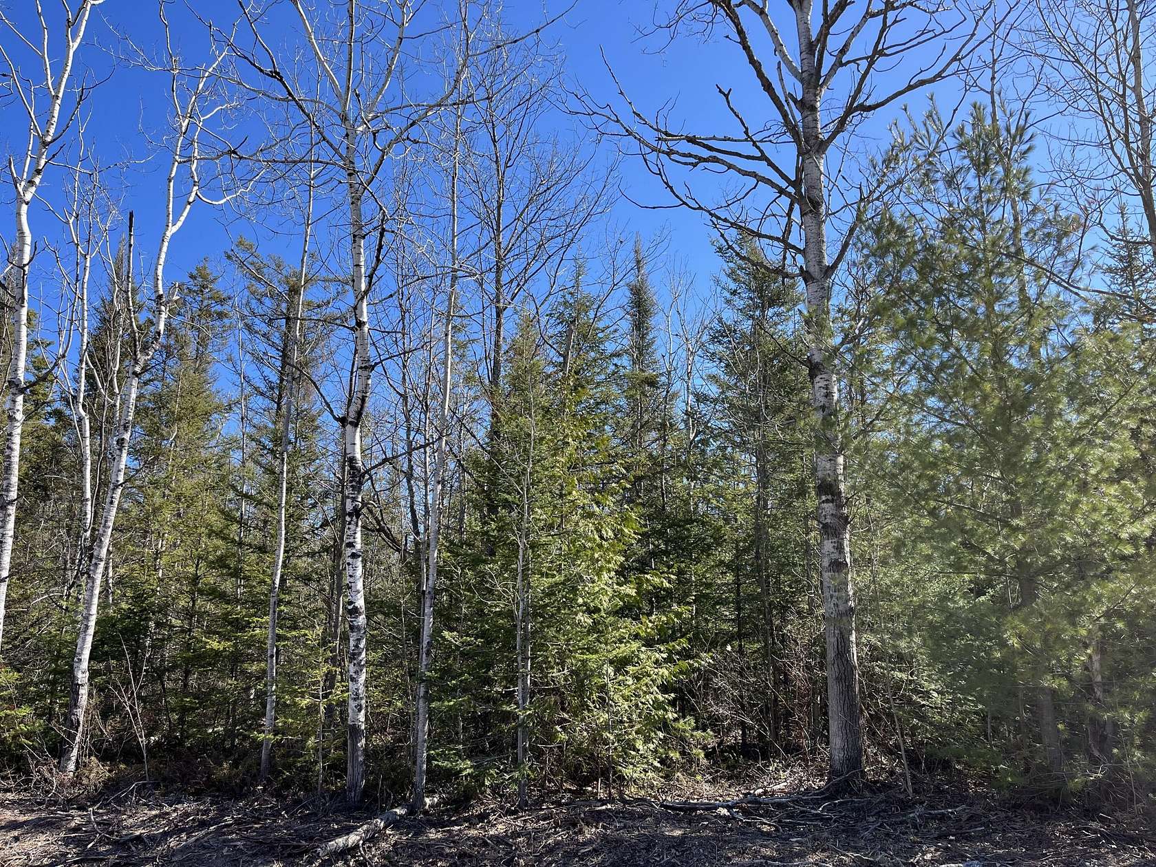 0.6 Acres of Residential Land for Sale in Presque Isle, Michigan