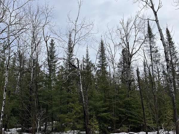 0.6 Acres of Residential Land for Sale in Presque Isle, Michigan