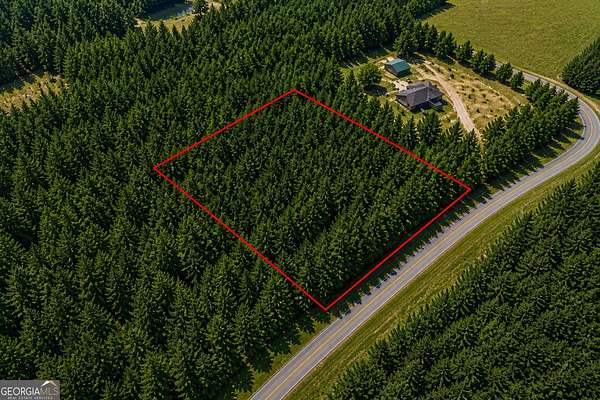 1 Acre of Residential Land for Sale in Hazlehurst, Georgia