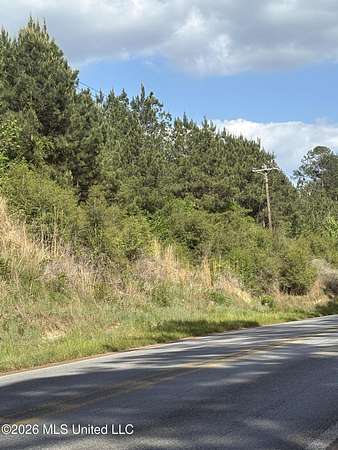 19 Acres of Land for Sale in Crosby, Mississippi