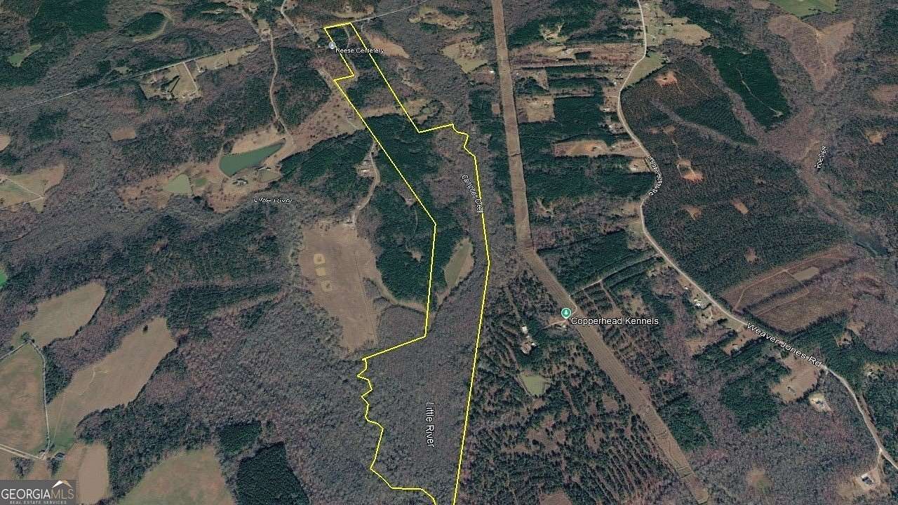 176 Acres of Recreational Land for Sale in Rutledge, Georgia