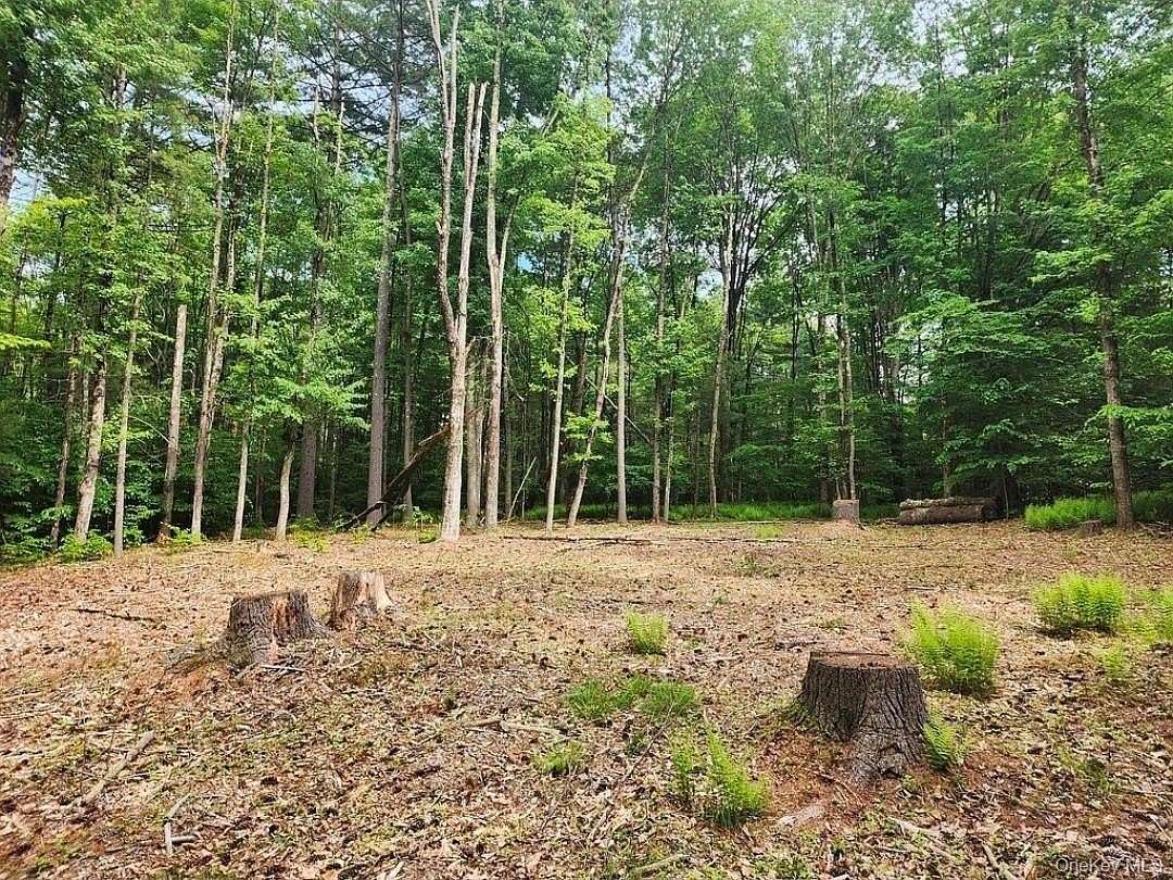 1.1 Acres of Residential Land for Sale in Monticello, New York