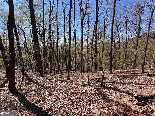 1 Acre of Land for Sale in Jasper, Georgia
