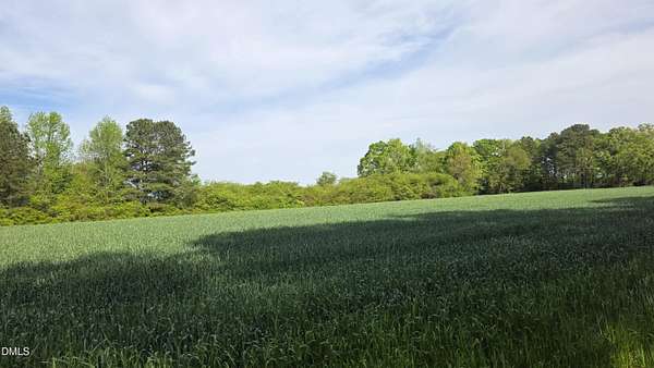 30.1 Acres of Land for Sale in Louisburg, North Carolina
