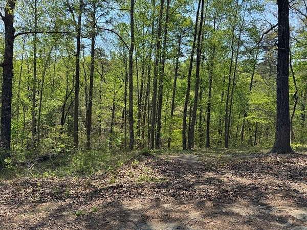 1.1 Acres of Residential Land for Sale in Toccoa, Georgia