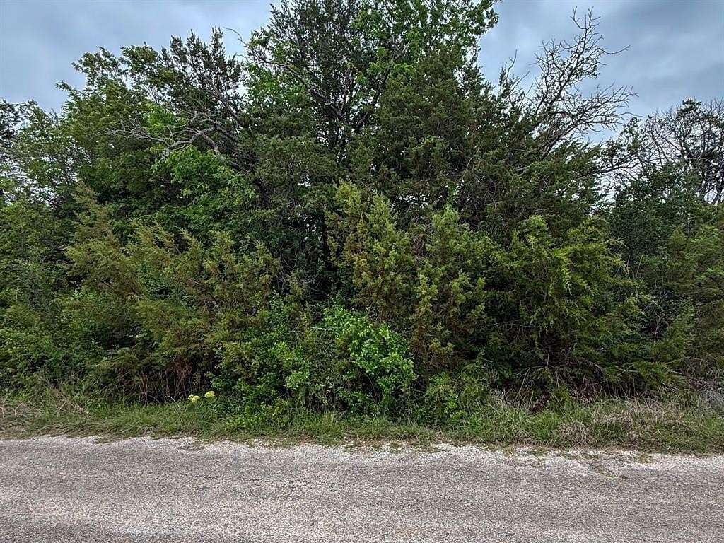 0.03 Acres of Land for Sale in Granbury, Texas
