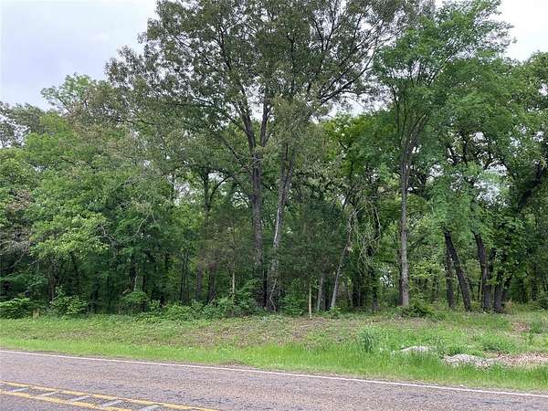 12 Acres of Recreational & Residential Land for Sale in Athens, Texas