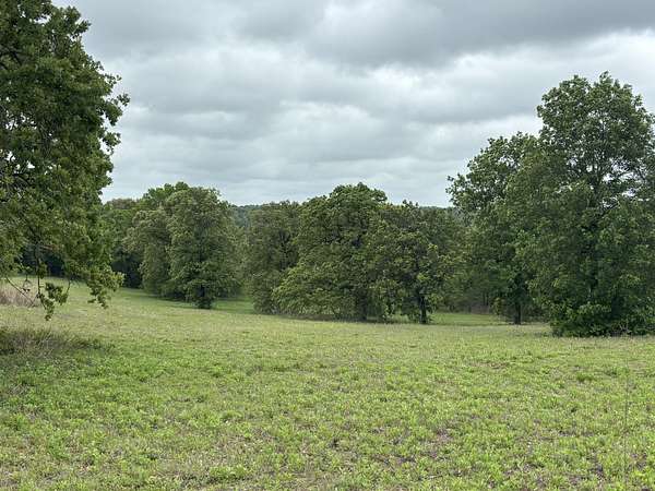 10.8 Acres of Land for Sale in Brownsboro, Texas