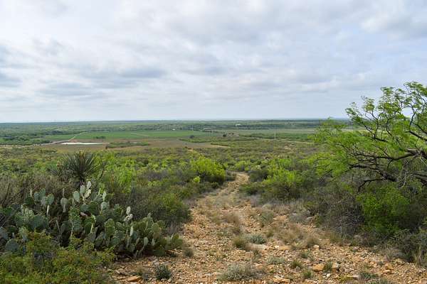 316 Acres of Land with Home for Sale in Voss, Texas