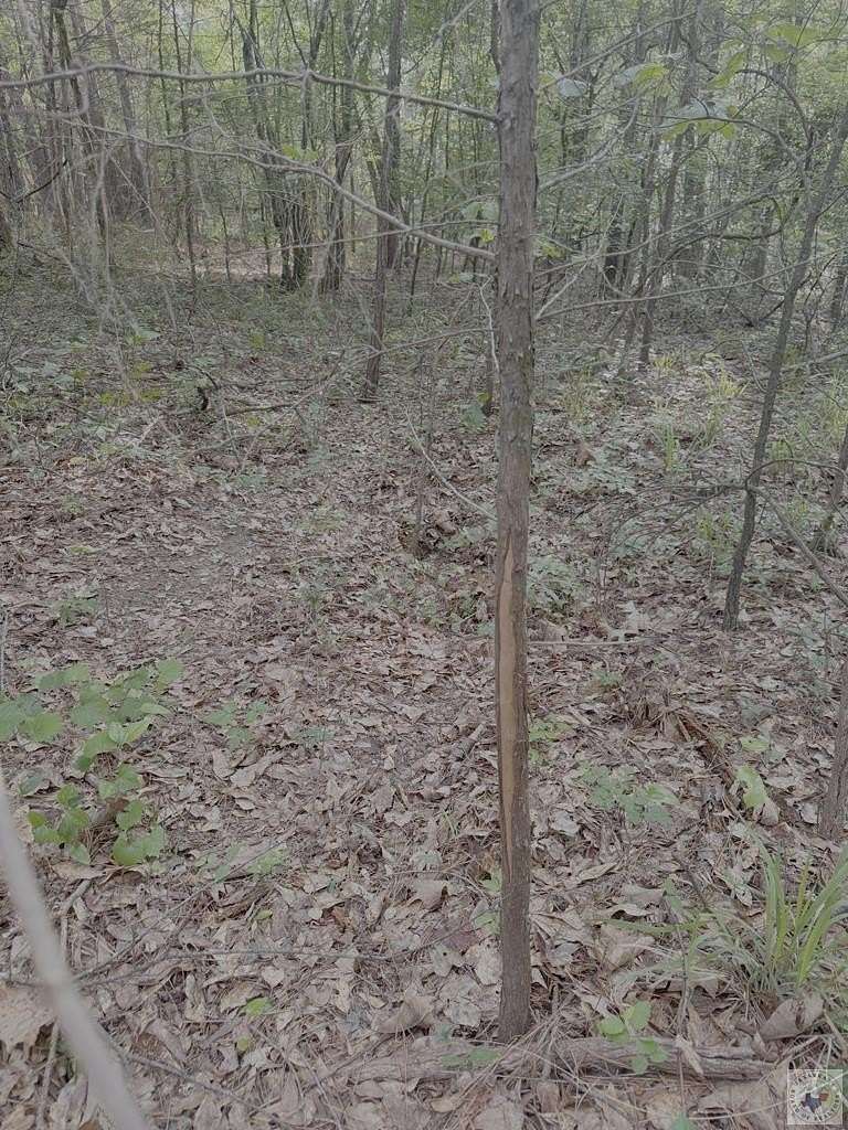 0.53 Acres of Residential Land for Sale in Marietta, Texas