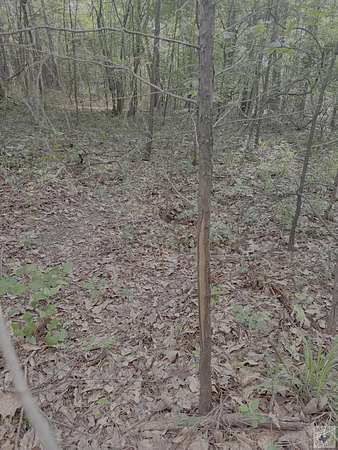 0.53 Acres of Residential Land for Sale in Marietta, Texas