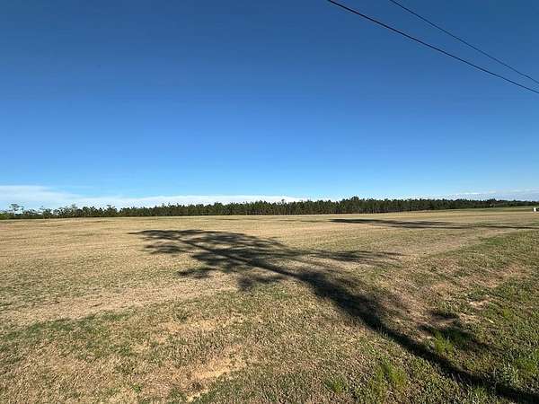 1 Acre of Residential Land for Sale in Douglas, Georgia