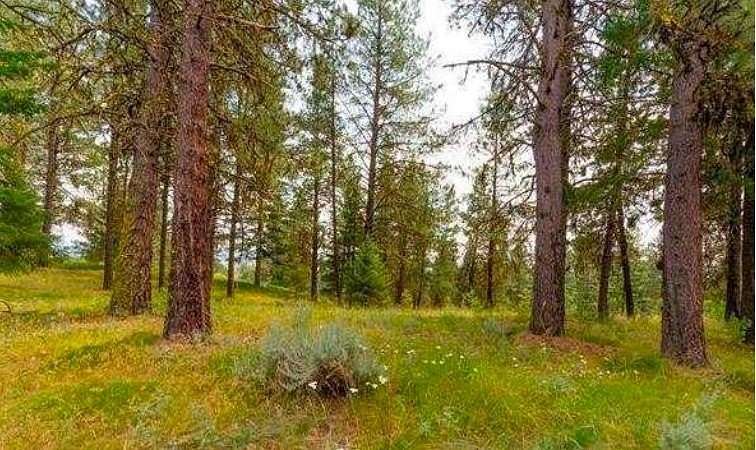 1.41 Acres of Residential Land for Sale in McCall, Idaho