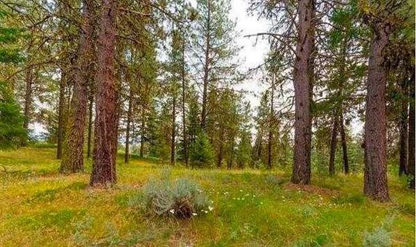 1.41 Acres of Residential Land for Sale in McCall, Idaho
