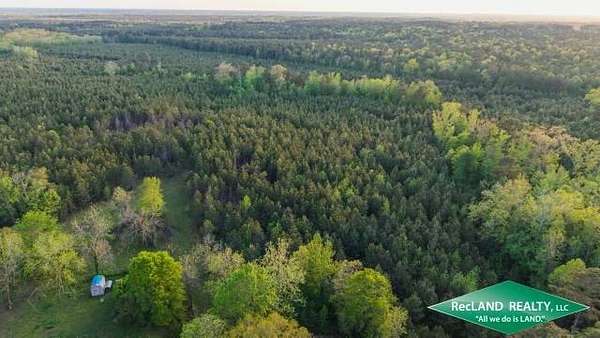 38.8 Acres of Recreational Land for Sale in Shongaloo, Louisiana