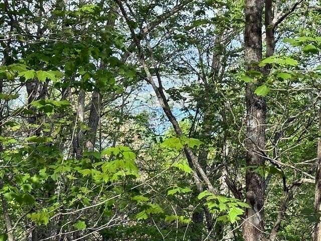 0.76 Acres of Residential Land for Sale in Young Harris, Georgia