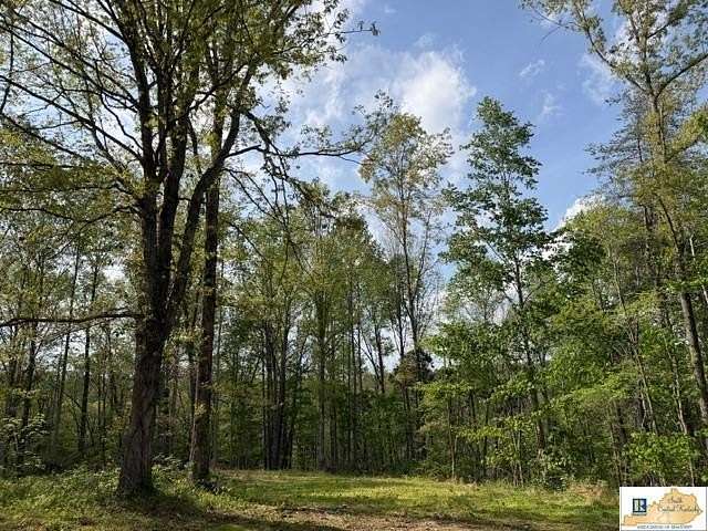 39 Acres of Recreational Land for Sale in Horse Cave, Kentucky
