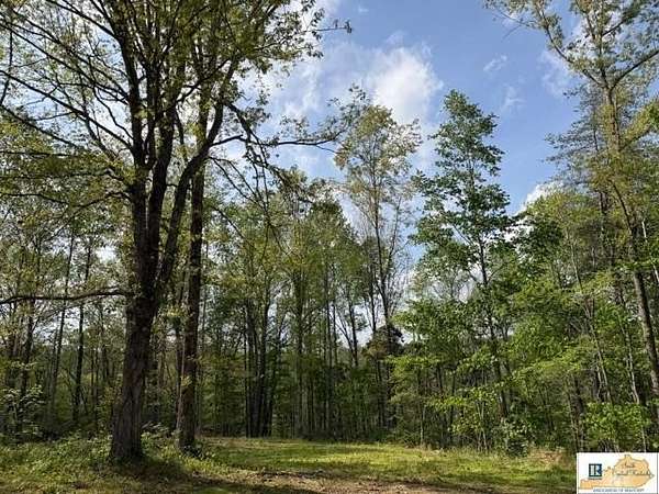 39 Acres of Recreational Land for Sale in Horse Cave, Kentucky