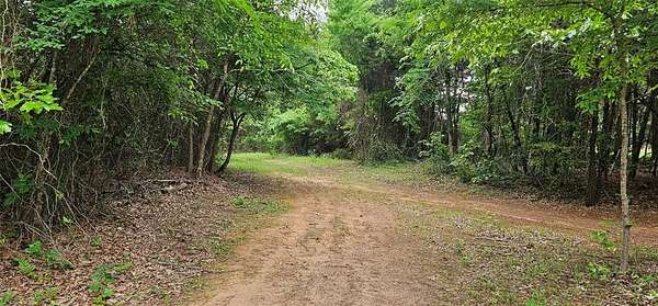 22.5 Acres of Recreational & Residential Land for Sale in Ben Wheeler, Texas