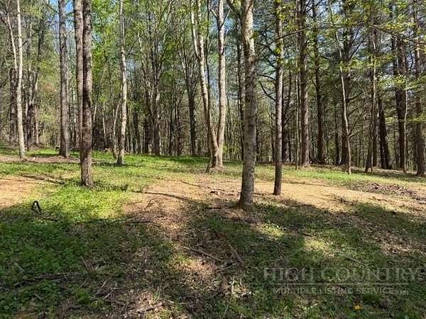 0.96 Acres of Residential Land for Sale in Creston, North Carolina