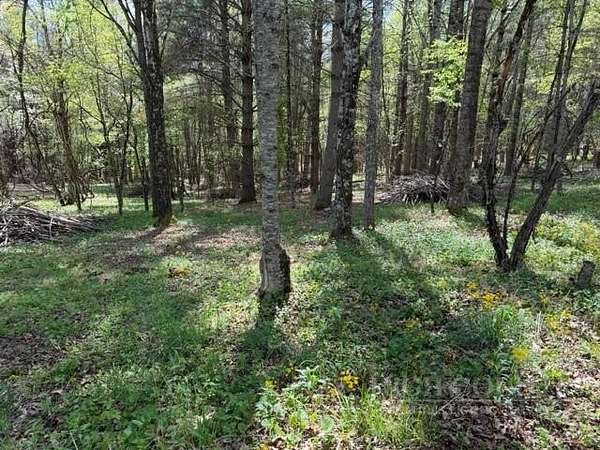0.83 Acres of Land for Sale in Creston, North Carolina