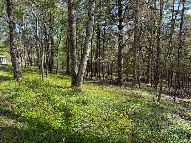 1 Acre of Residential Land for Sale in Creston, North Carolina