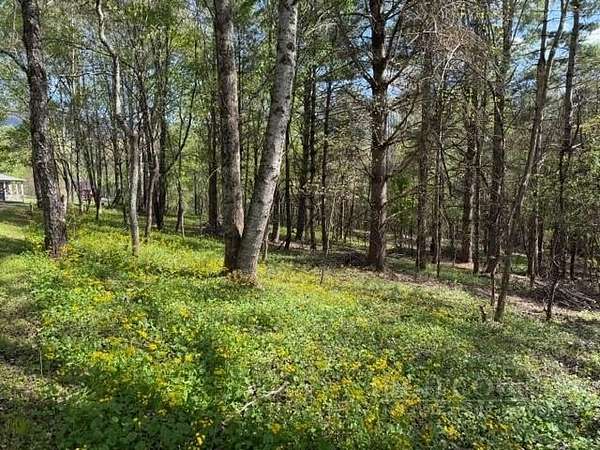 1 Acre of Residential Land for Sale in Creston, North Carolina