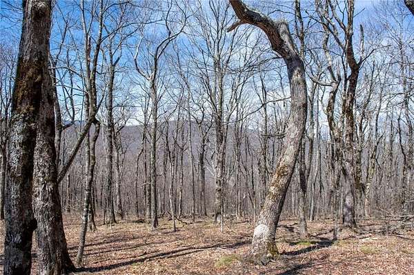 1.55 Acres of Residential Land for Sale in Todd, North Carolina