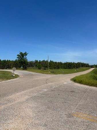 38 Acres of Recreational & Residential Land for Sale in Auburn, Alabama