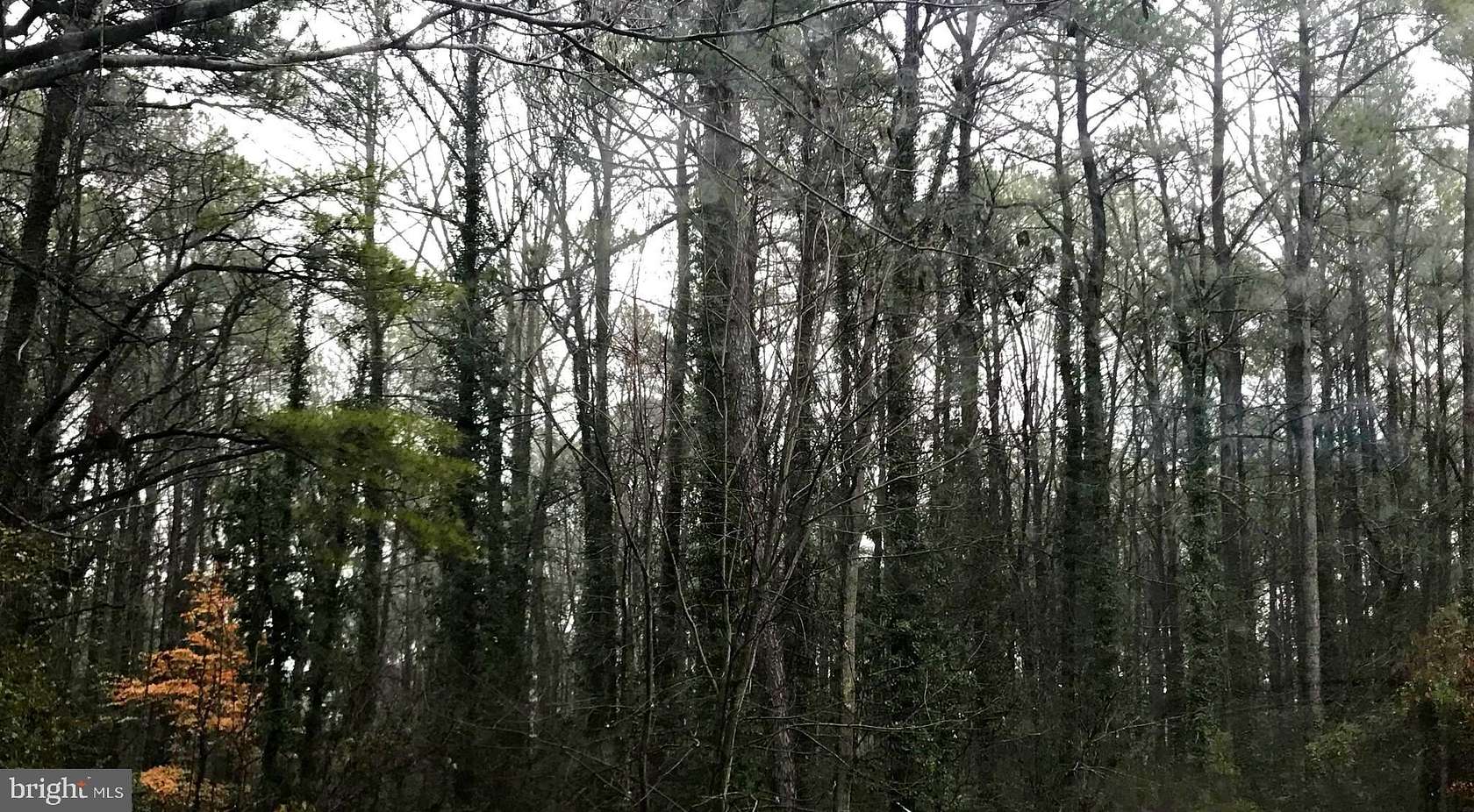 0.23 Acres of Land for Sale in Lusby, Maryland